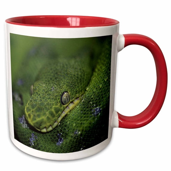 3drose, Emerald Tree Boa, 11oz Two-tone Red Mug