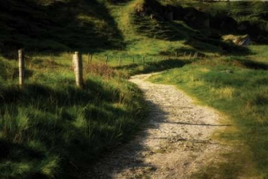 Emerald Walkway Canvas Art - Dennis Frates (24 x 36)