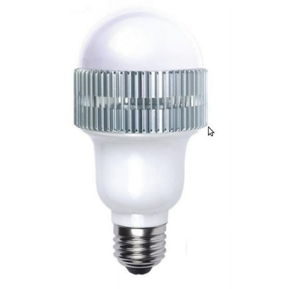 Emergency LED Light Bulb 500 Lumens