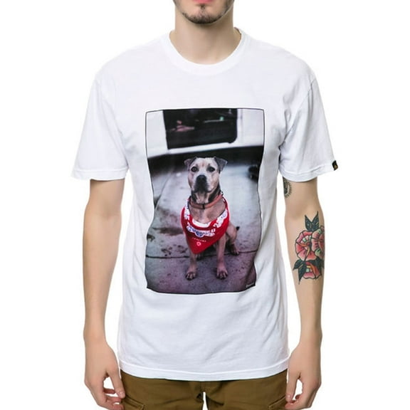 Emerica. Mens The Chief Dog Graphic T-Shirt, White, X-Large