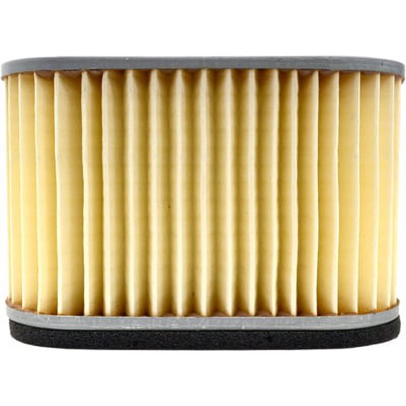 Emgo - 12-94310 - Air Filter