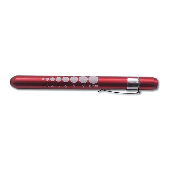 Emi Penlight,LED,49 lm 221