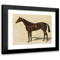 thumbnail image 1 of Emil Adam 24x20 Black Modern Framed Museum Art Print Titled - A Dark Brown Thoroughbred Mare, 1 of 5