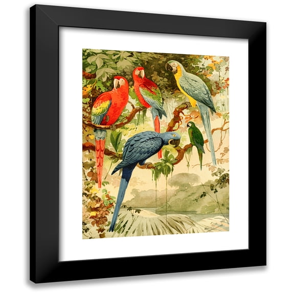 Emil August Göldi 12x14 Black Modern Framed Museum Art Print Titled - Araish (1900-1906)