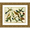 thumbnail image 1 of Emil August Göldi 14x11 Gold Ornate Wood Frame and Double Matted Museum Art Print Titled - Beija-Flores (1900-1906), 1 of 4