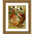 thumbnail image 1 of Emil August Göldi 19x24 Gold Ornate Framed and Double Matted Museum Art Print Titled - Tie-Tinga, Pipira, Cri-Cri-No, Loao De Barro, Gallo Da Serra, Pavao Do Mato (1900-1906), 1 of 4