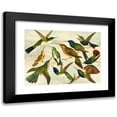 thumbnail image 1 of Emil August Göldi 24x19 Black Modern Framed Museum Art Print Titled - Beija-Flores (1900-1906), 1 of 5