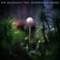 thumbnail image 1 of Emil Brandqvist - Entering The Woods - Music & Performance - CD, 1 of 1