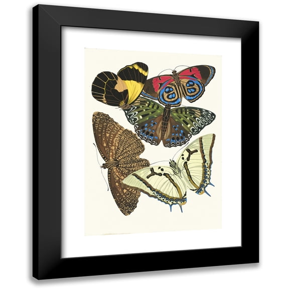 Emile-Allain Séguy 11x14 Black Modern Framed Museum Art Print Titled - Butterflies, Pl. 12 (1925)