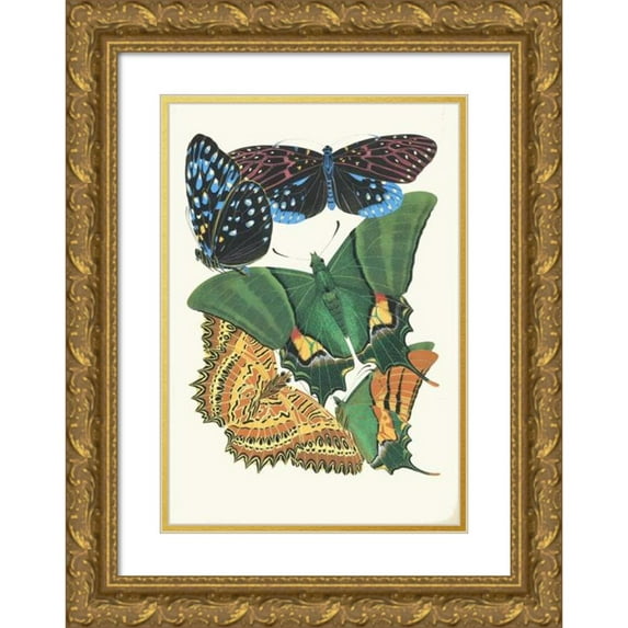 Emile-Allain Séguy 11x14 Gold Ornate Wood Frame and Double Matted Museum Art Print Titled - Butterflies, Pl. 6 (1925)