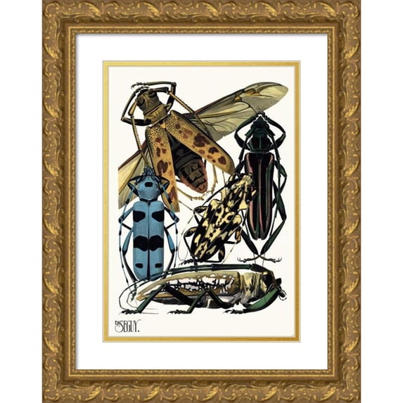 Emile-Allain Séguy 14x18 Gold Ornate Wood Frame and Double Matted Museum Art Print Titled - Insectes Pl.14 (1929)
