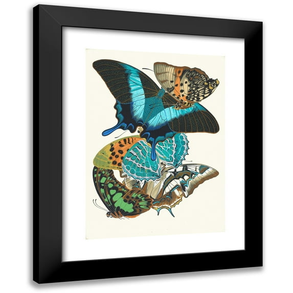Emile-Allain Séguy 18x24 Black Modern Framed Museum Art Print Titled - Butterflies, Pl. 13 (1925)