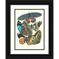 thumbnail image 1 of Emile-Allain Séguy 18x24 Black Ornate Framed Double Matted Museum Art Print Titled: Butterflies, Pl. 2 (1925), 1 of 5