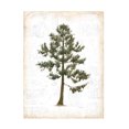 thumbnail image 1 of Emily Adams 'Into the Woods Trees I' Canvas Art, 1 of 3