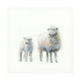 thumbnail image 1 of Emily Adams 'Sheep and Lamb' Canvas Art, 1 of 3