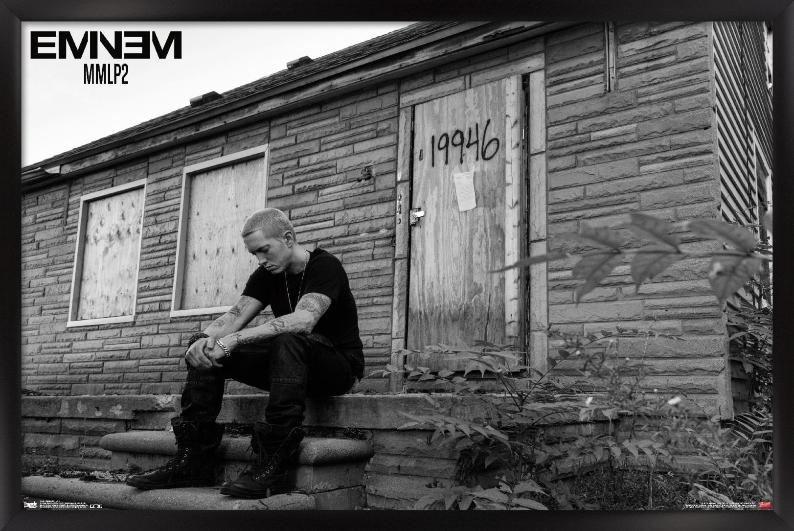 Eminem - LP 2 Wall Poster, 22.375" x 34", Framed - image 1 of 6