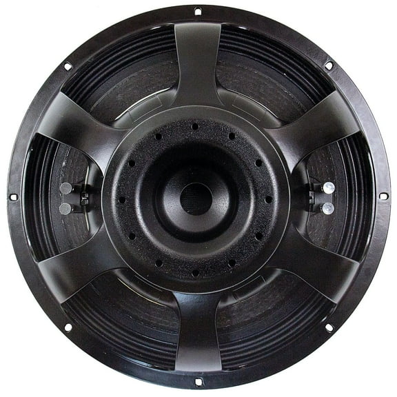 NSW6021-124 21" Speaker