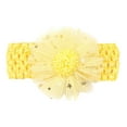 thumbnail image 1 of Emitonse Birthday Girl Headband Baby Hair Accessories Toddler Infant Baby Boys Girls Stretch Solid Lace Flower Hairband Headwear Headband Elastics Hair Accessories One Size,Yellow, 1 of 3