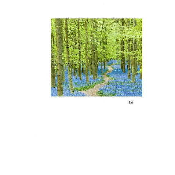 Emlekbeszedek Es Tanulmanyok (Hardcover)