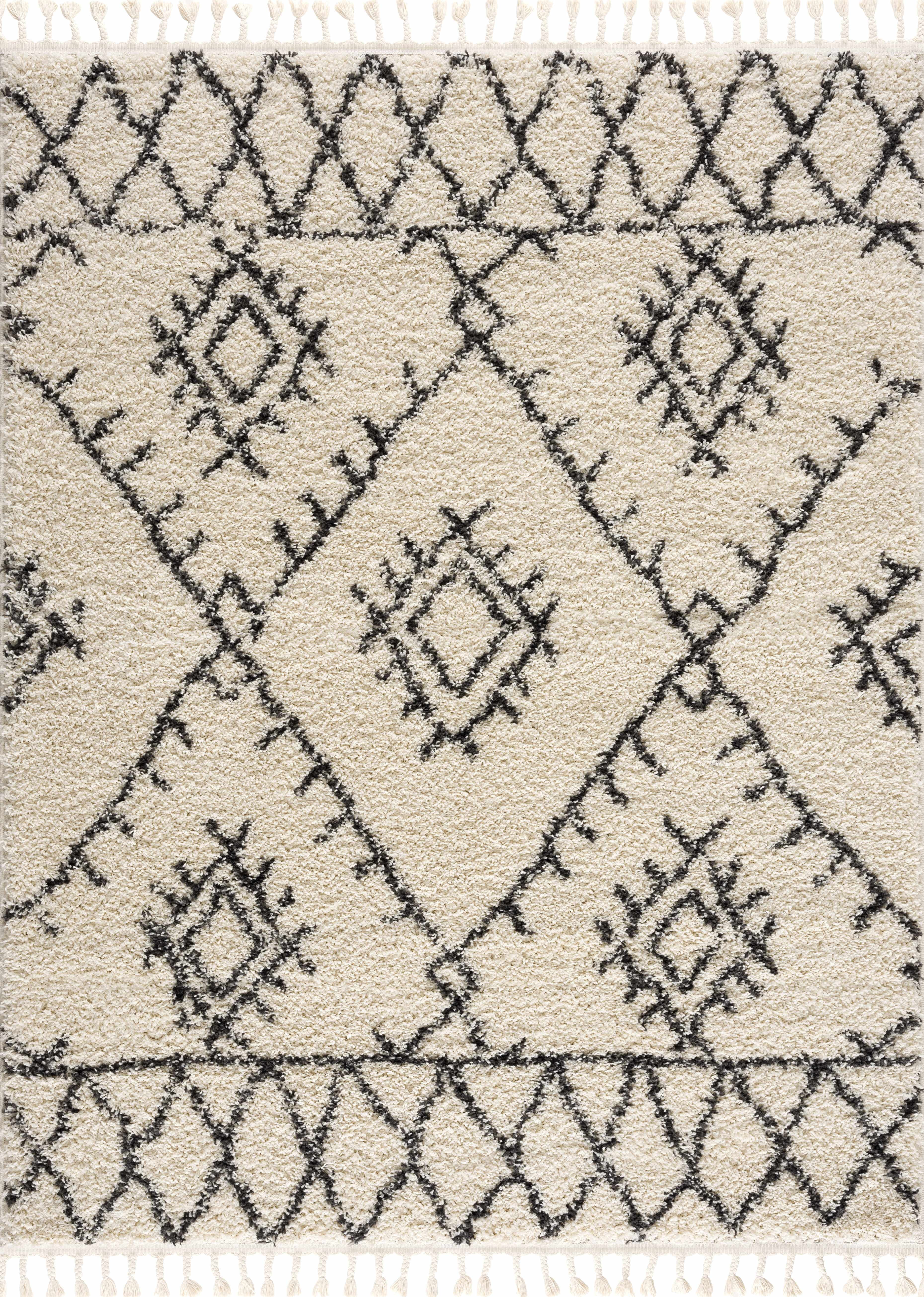 BoutiqueRugs Emlenton Bohemian/Global Area Rug - Charcoal, Beige - 5'3" x 7'