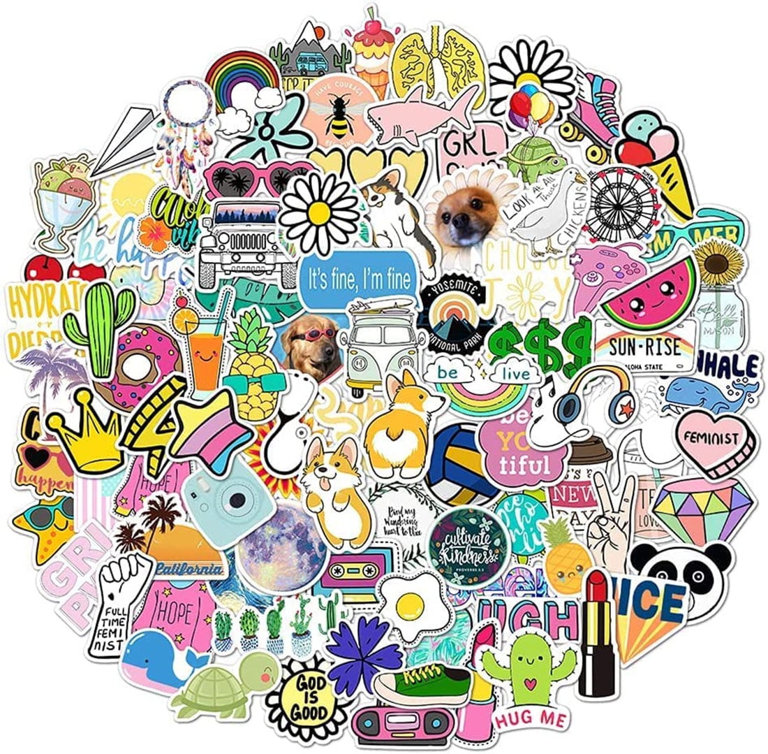 100 Pcs Waterproof Aesthetic Stickers Pack Vinyl Stickers Decals for  Skateboard, Luggage, Water-Bottle, Chromebook Emlimny