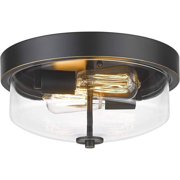 Emliviar 12" Flush Mount Ceiling Light, Outdoor Ceiling Mount Light with Clear Glass Shade, Black Finish, TE217F ROB