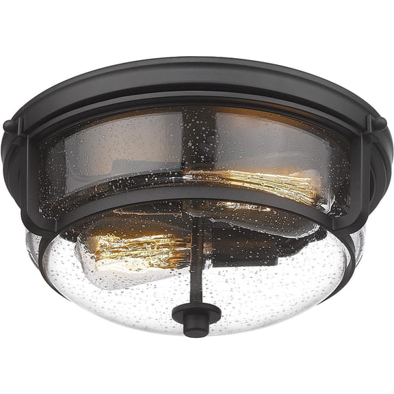 Emliviar Modern 12" Ceiling Light, Flush Mount Ceiling Light Fixture with Seeded Glass Shade, Black Finish, WE249F BK