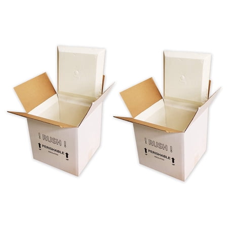 EmmChill SF11A Insulated Shipping Cooler, 11" x 9" x 9" (Pack of 2)(Inner Dimensions 8 x 6 x 6")