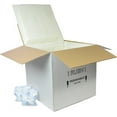 thumbnail image 1 of EmmChill SF17A Insulated Shipping Cooler, 17" x 17" x 17" (Inside 14" x 14" x 14") with 2 Ice Packs …, 1 of 1