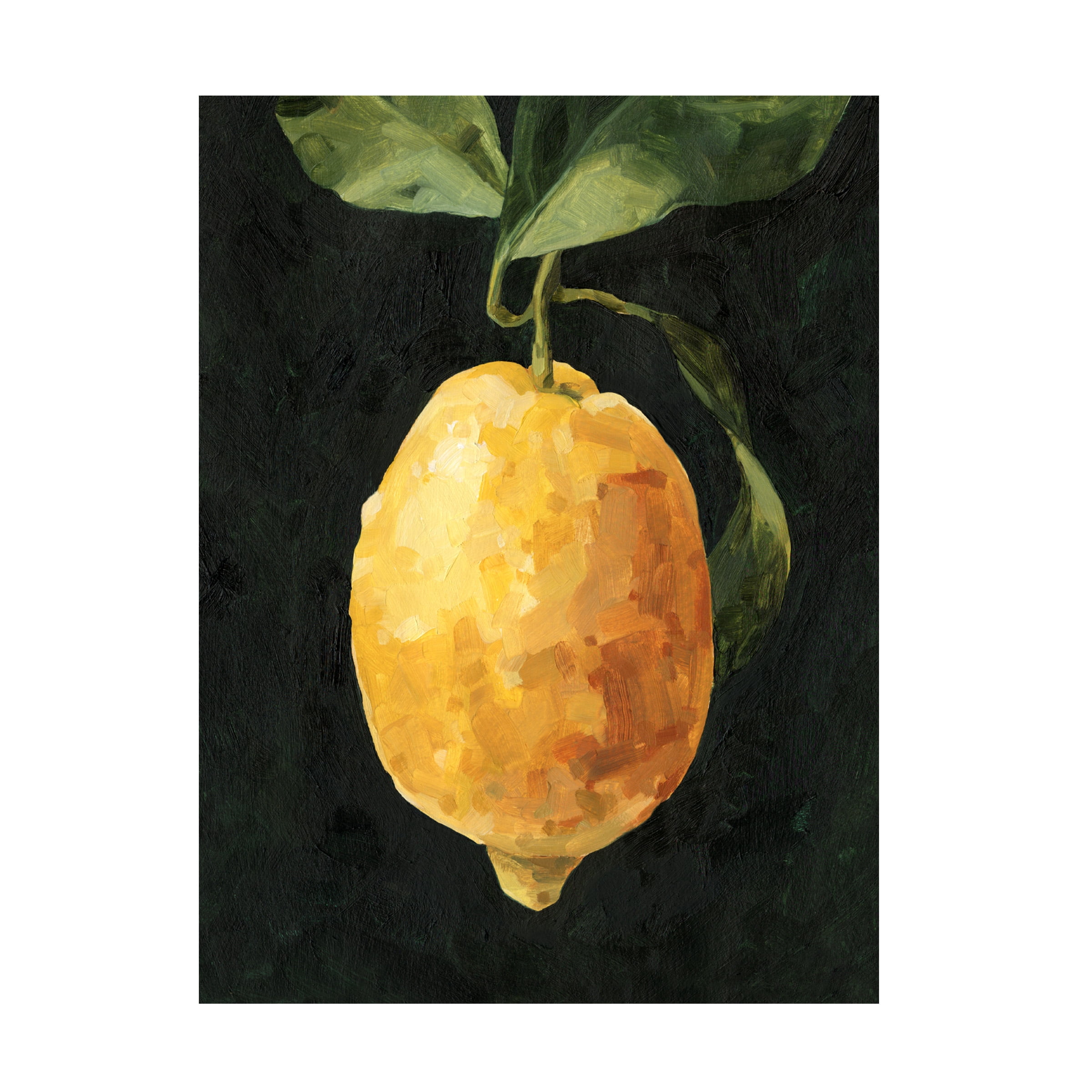 Emma Caroline 'Dark Lemon I' Canvas Art