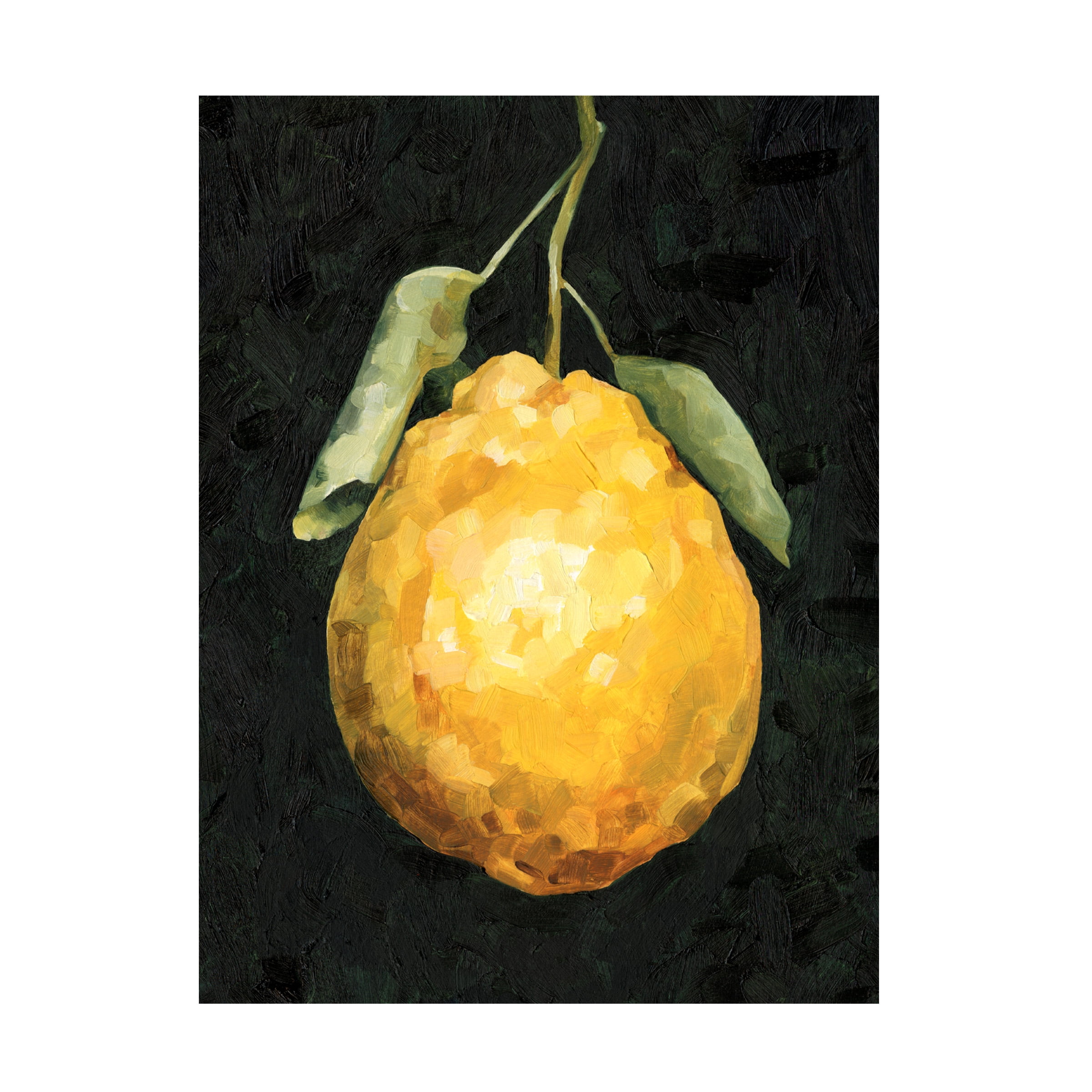Emma Caroline 'Dark Lemon II' Canvas Art