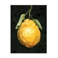 thumbnail image 1 of Emma Caroline 'Dark Lemon II' Canvas Art, 1 of 3