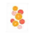 thumbnail image 1 of Emma Caroline 'Festive Fruit I' Canvas Art, 1 of 3