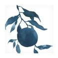 thumbnail image 1 of Emma Caroline 'Indigo Oranges III' Canvas Art, 1 of 3