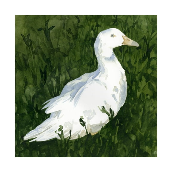 Emma Caroline 'Lone Duck I' Canvas Art