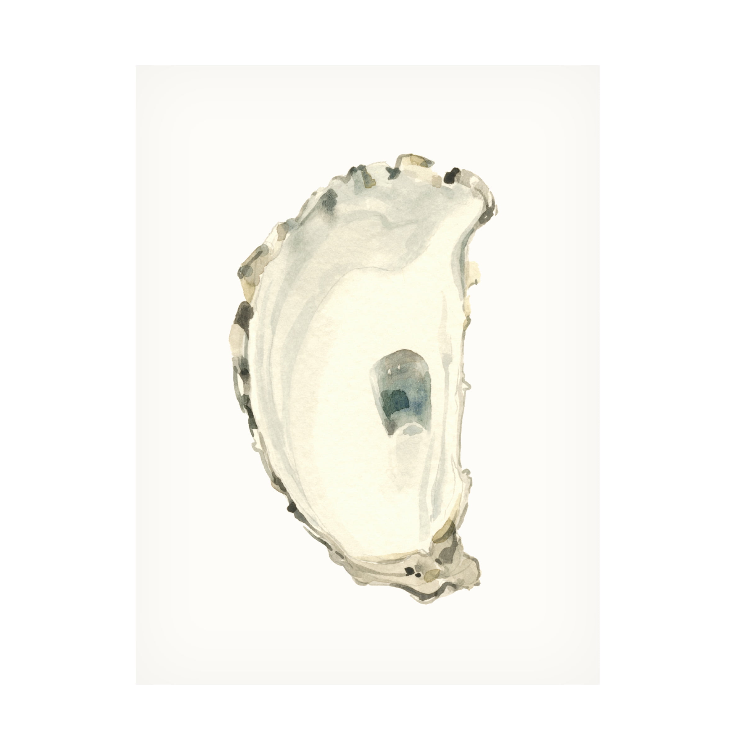 Neutral Oyster Study II 47" x 35" Canvas Art