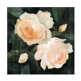 thumbnail image 1 of Emma Caroline 'Soft Garden Roses I' Canvas Art, 1 of 3