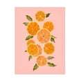 thumbnail image 1 of Emma Caroline 'Spring Citrus II' Canvas Art, 1 of 3