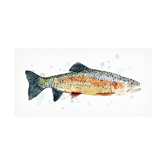 Emma Caroline 'Watercolor Rainbow Trout I' Canvas Art