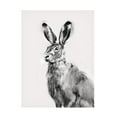 thumbnail image 1 of Emma Caroline 'Wild Hare I' Canvas Art, 1 of 3