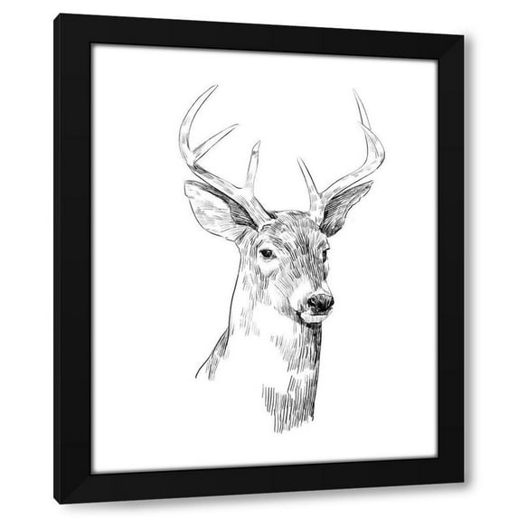Emma Scarvey 20x24 Black Modern Wood Framed Wall Art Titled - Young Buck Sketch I