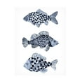 thumbnail image 1 of Emma Scarvey 'Blue Fish II' Canvas Art, 1 of 3
