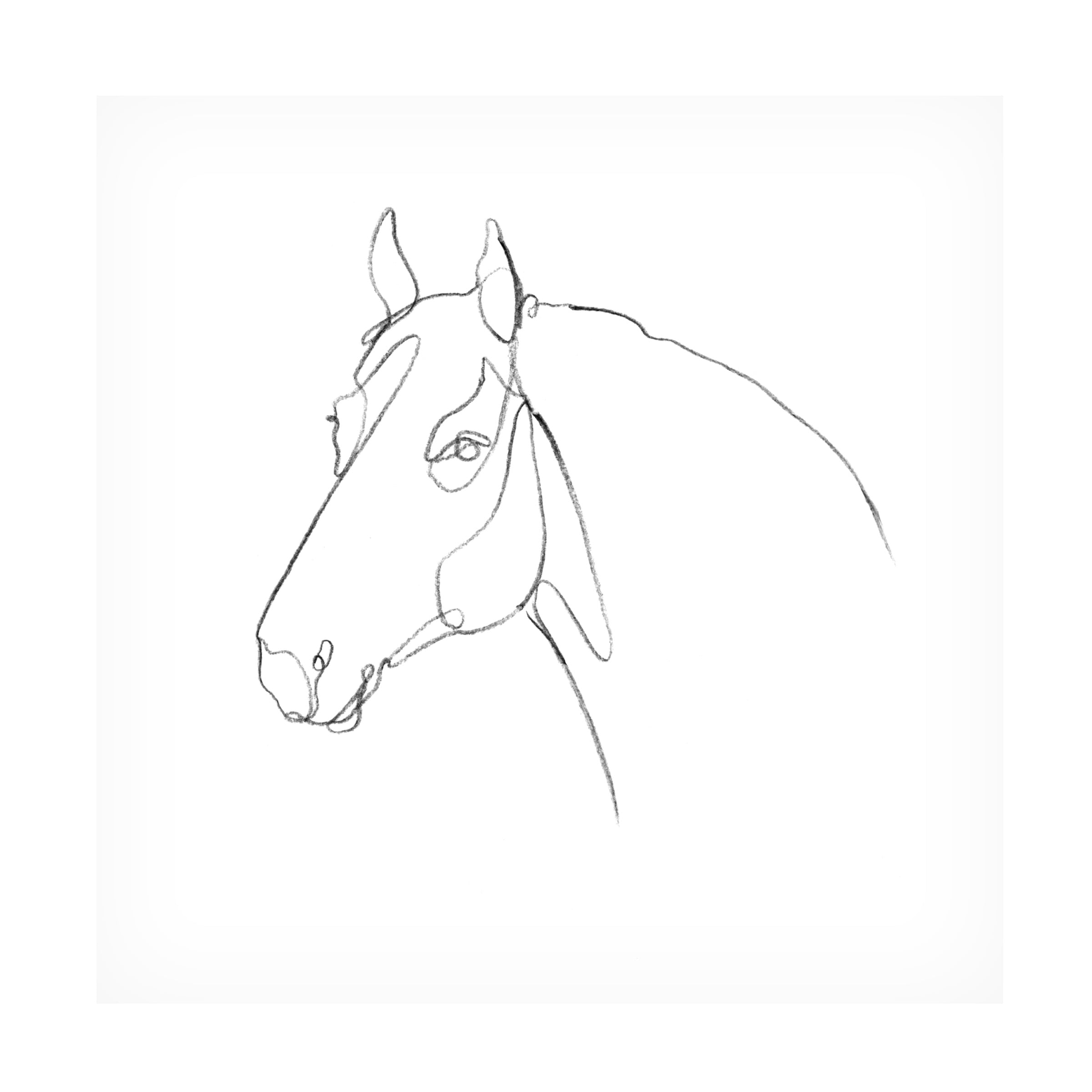 Emma Scarvey 'Equine Pencil Contour III' Canvas Art