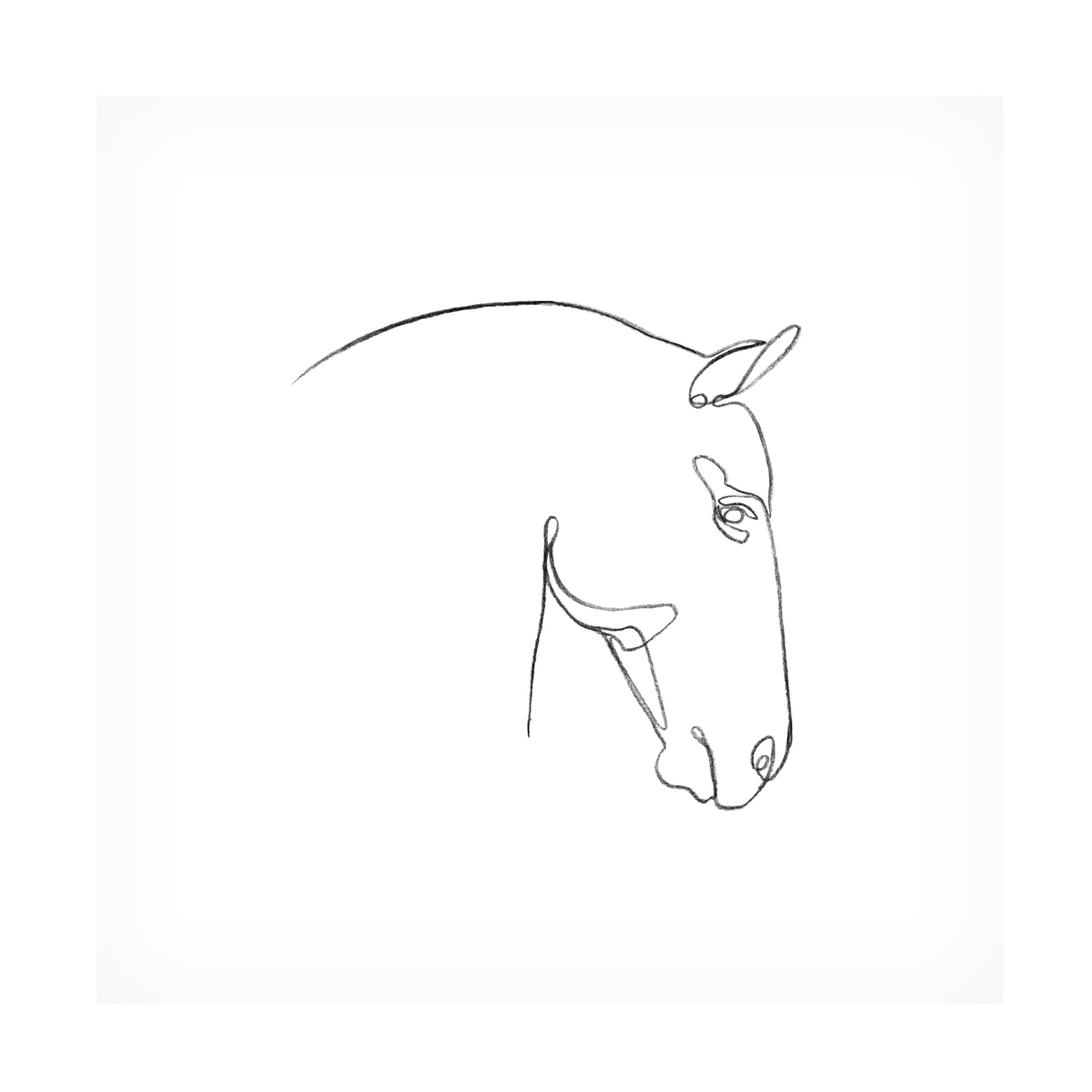 Emma Scarvey 'Equine Pencil Contour IV' Canvas Art