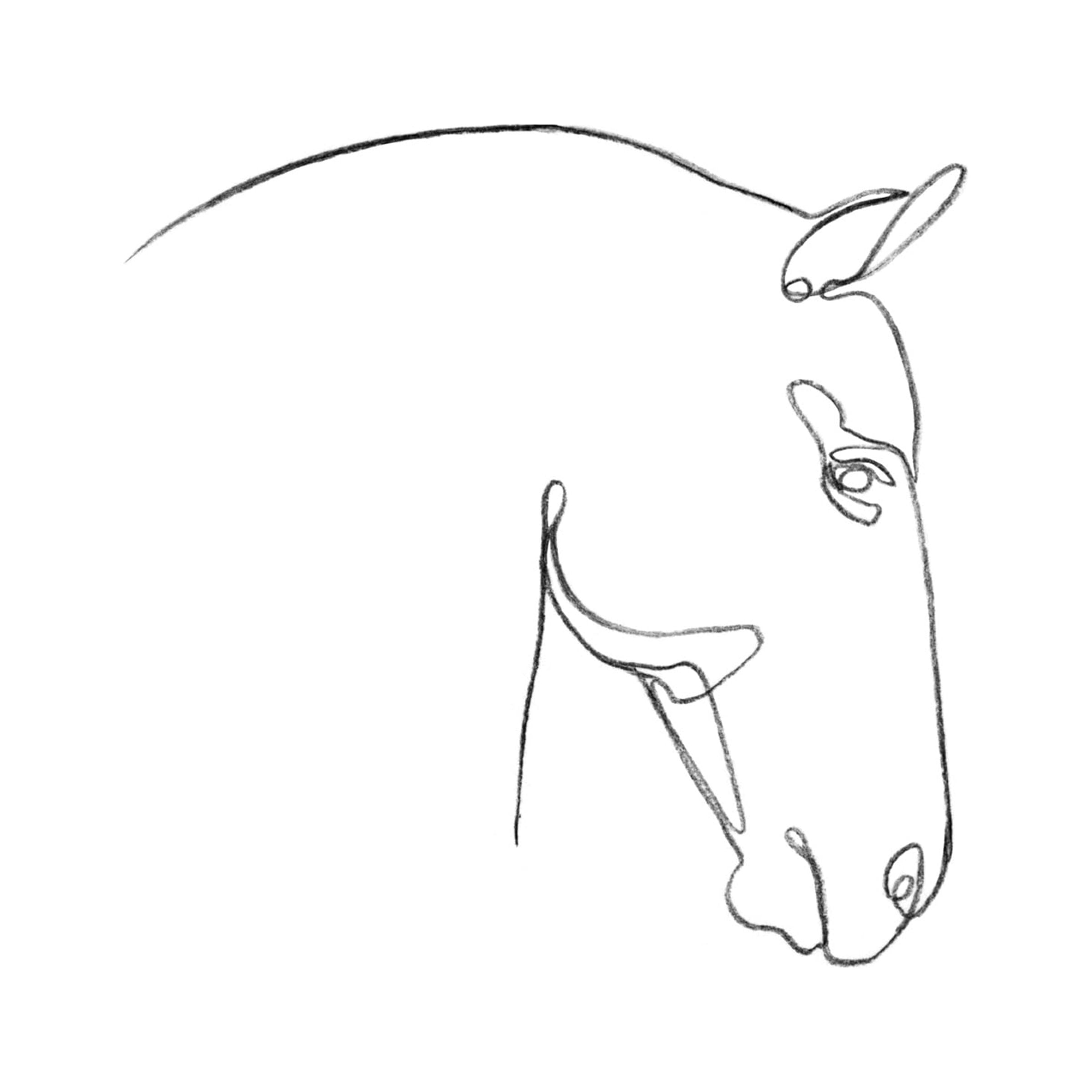 Emma Scarvey 'Equine Pencil Contour IV' Canvas Art