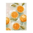 thumbnail image 1 of Emma Scarvey 'Fresh Citrus VI' Canvas Art, 1 of 3