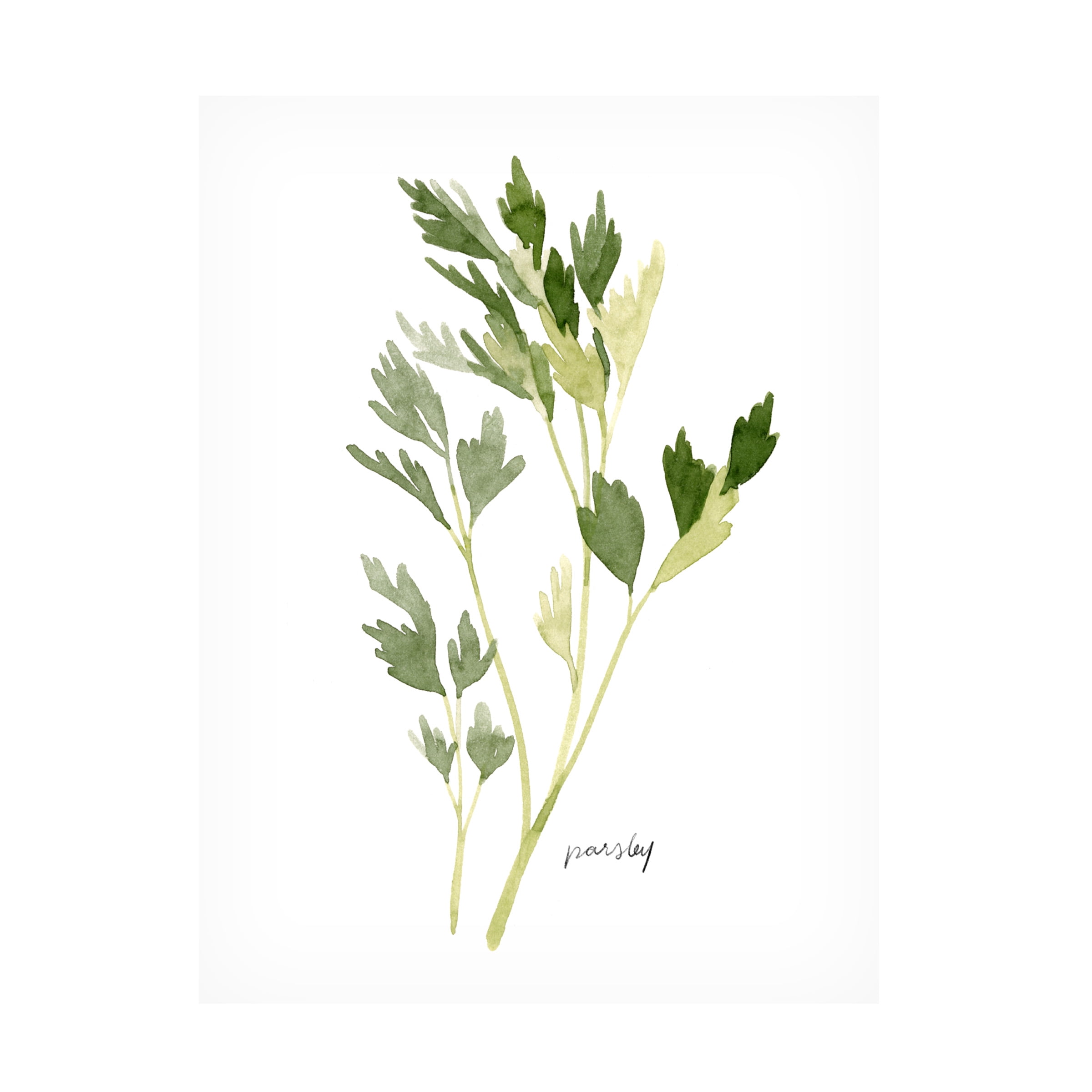 Emma Scarvey 'Herb Garden Sketches II' Canvas Art