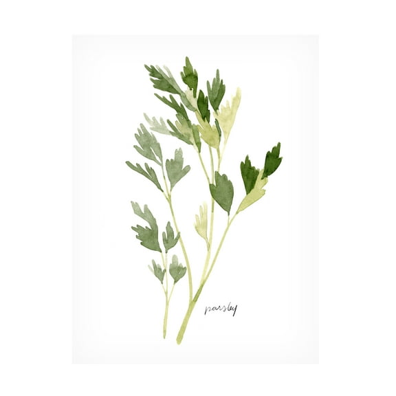 Emma Scarvey 'Herb Garden Sketches II' Canvas Art