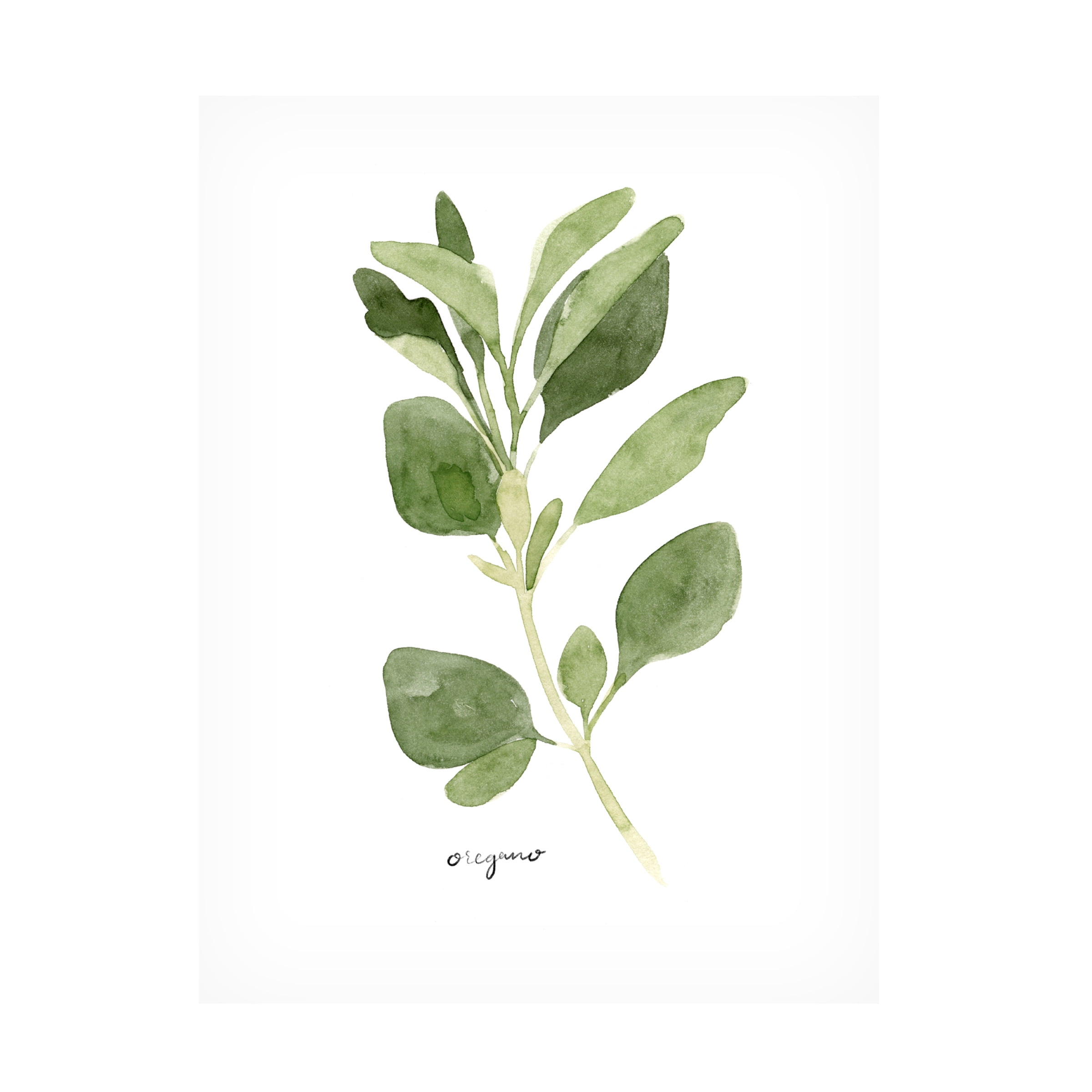 Emma Scarvey 'Herb Garden Sketches III' Canvas Art