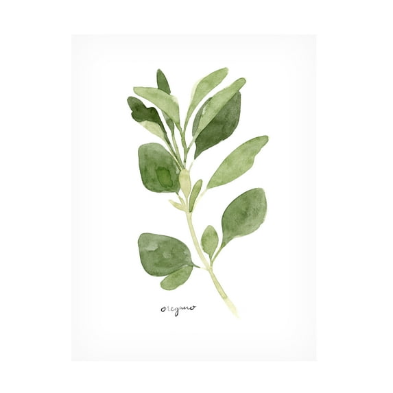 Emma Scarvey 'Herb Garden Sketches III' Canvas Art